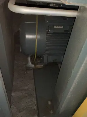 Used 2011 KAESER BSD 50 Rotary Screw & Sliding Vane Air Compressors Ohio US | HGR 24 #1704950