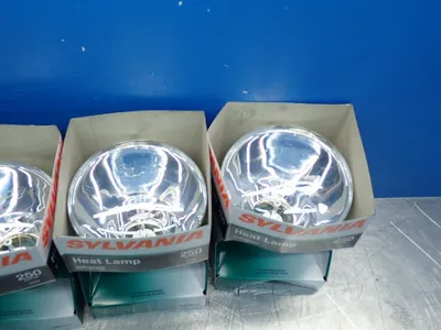 NEW SYLVANIA 250BR40/RP