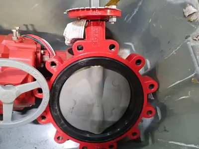 Butterfly Valves