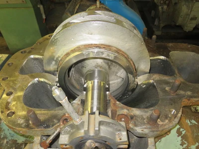 Warren Split case pump, size 14-DBL-20H, material 316 Stainless