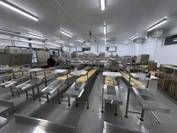 Used 2017 Sanovo 100 Tooling & Accessories (Other) Ontario CA | Machine Tool Bids #1310732