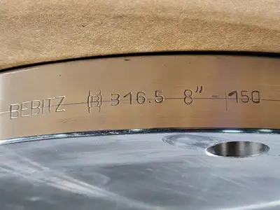 8" Class 150 Blind Flange F316/316L