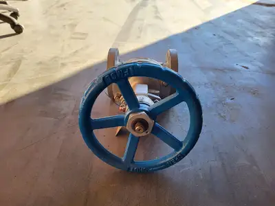 2" Class 300 Gate Valve API 624