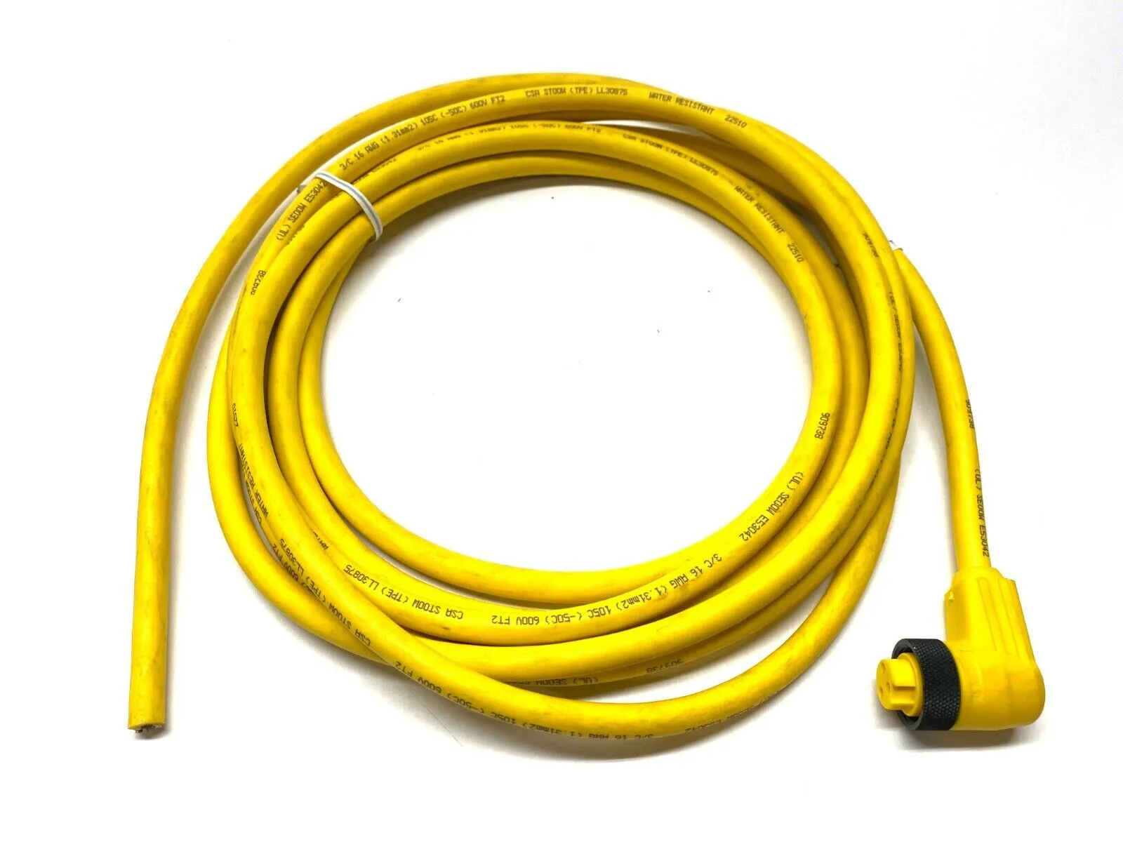 USED LUMBERG AUTOMATION CORDSET