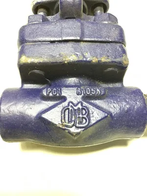 OMB A105N 1/2″ Gate Valve