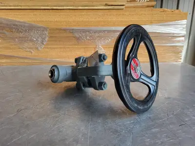 1" 1500 PSI Globe Valve