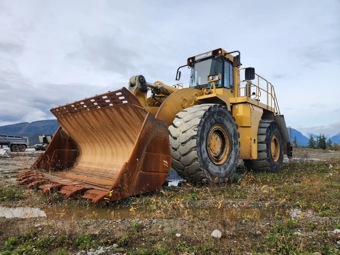 Used 2004 CATERPILLAR 990 Skid Steer Loaders British Columbia CA | Lenmark #277799