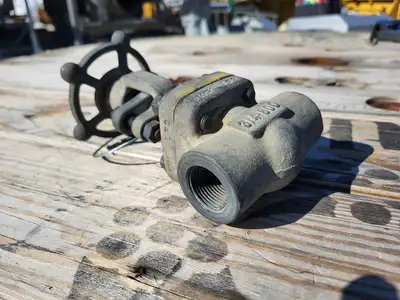 2019 3/4" Class 800 Gate Valve