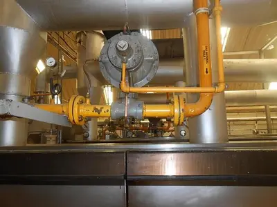 Haas 80 Plate Wafer Oven Complete Wafer Line