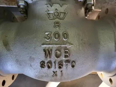 8" Class 300 Globe Valve API 623
