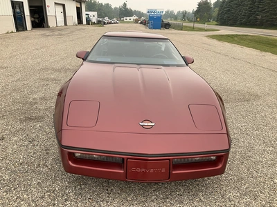 Used 1987 CHEVROLET CORVETTE Classic Cars & Trucks Michigan US | Miedema Asset Management Group #1316101