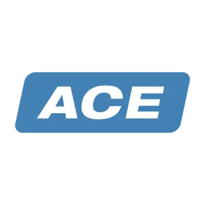 ACE CONTROLS
