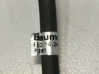 Used BAUMER ELECTRIC FEG 14.24/403858 Sensors Michigan US | Ideal Machinery #709179