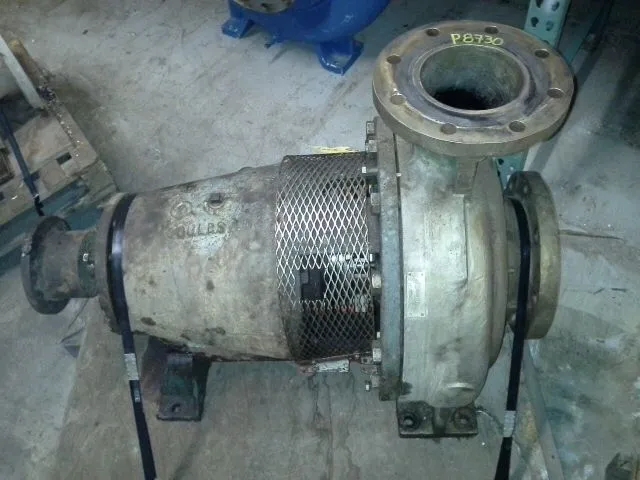 USED Goulds 3175