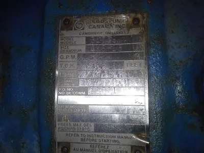 USED Goulds 3175