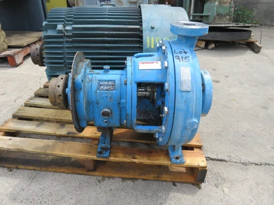 USED Goulds 3196 MTX