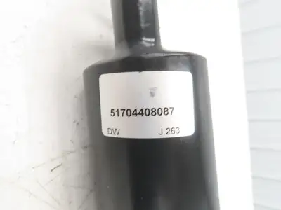 Linde 51704408087 Electric Forklift Hydraulic Tilt Cylinder Removed From E20C
