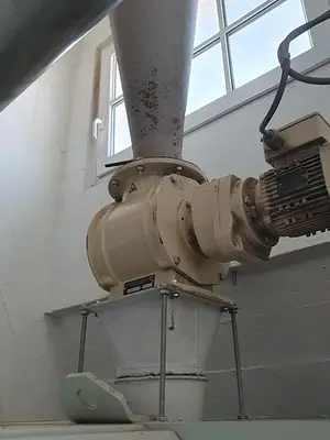 Oatmeal processing plant 1 t/h