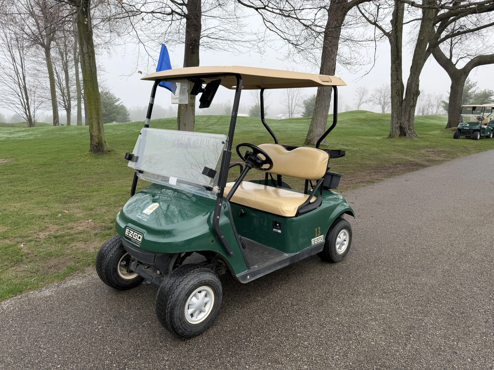 (1) 2015 E-Z-Go golf cart with a Kawasaki gas engine, does not include Club canopy, includes ball wa...