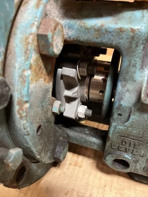 USED Goulds 3196