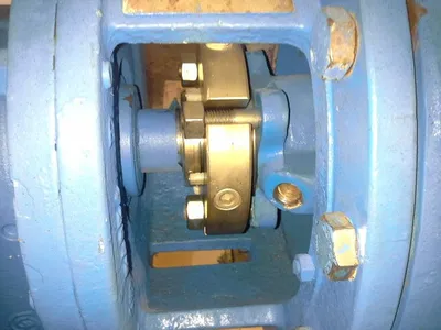 USED Goulds LF 3196