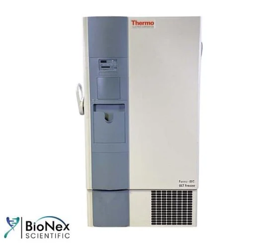 Used THERMO FISHER SCIENTIFIC FORMA Ultra-Low Temperature Freezers New Jersey US | Bionex Scientific LLC #799642