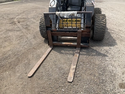 Used 2010 NEW HOLLAND L190 Skid Steer Loaders Michigan US | Miedema Asset Management Group #1325534