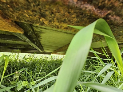 TITAN CATTLE/ LIVESTOCK TRAILER Trailer | Iron Listing (15)