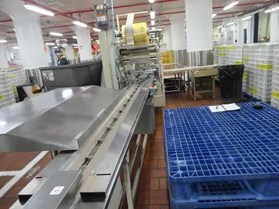 USED DO-BOY SUPER MUSTANG