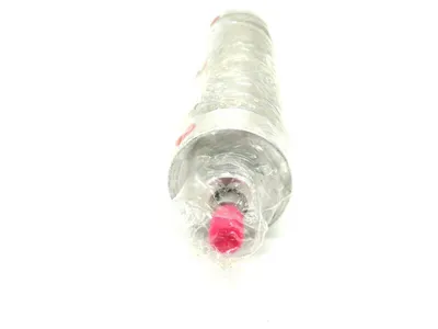 NEW SCHRADER BELLOWS 02.50 DXPSR 8.000 CYLINDER 250PSI 17 BAR GD543817 0250DXPSR