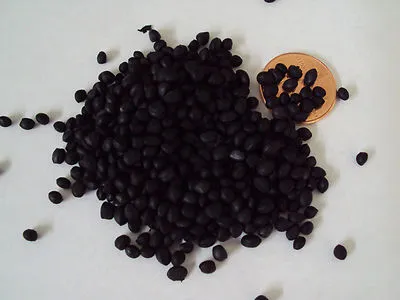 NEW TPO BK Concentrate Does Not Apply