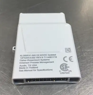 USED Emerson DI ISO 24V