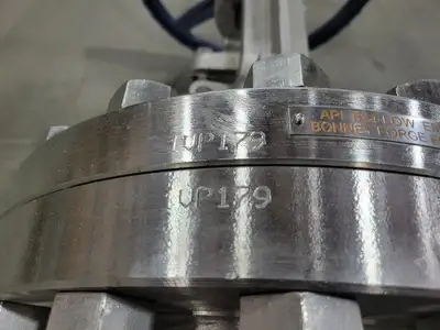 8" Class 300 Gate Valve B16.34