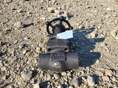 3/4" Class 800 Gate Valve API 602