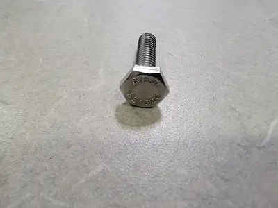 1/4" x 1" Stainless Steel Hex Bolt S31600 (Bag of 400/Qty)