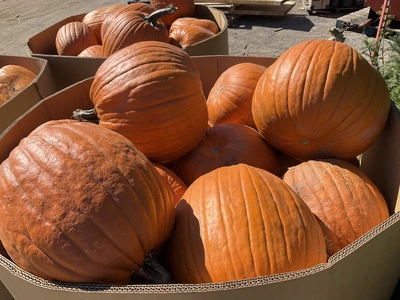 Used _UNKNOWN_ _UNKNOWN_ Farm Supplies Michigan US | Miedema Asset Management Group #1483473