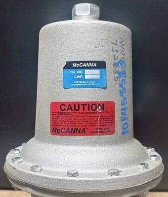 NEW Rockwell Automation Typ D 2” Fig 240