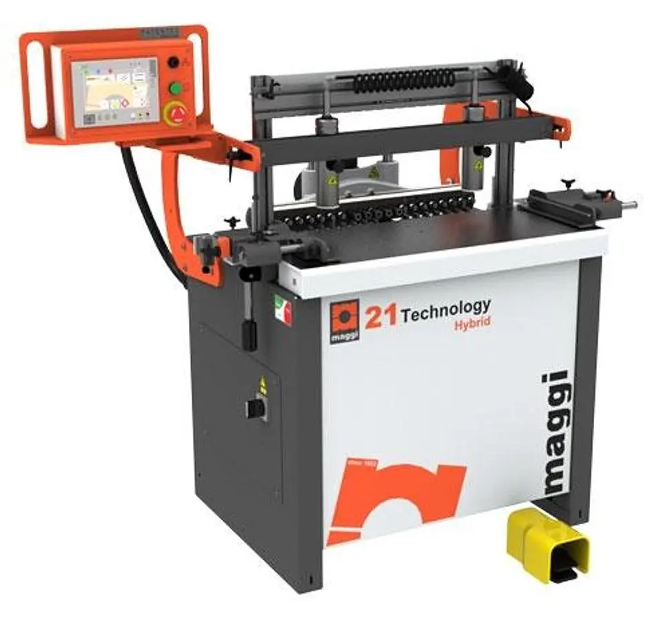 NEW MAGGI SYSTEM 21