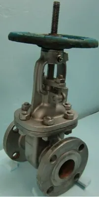 QTY. 1. FNW GATE VALVE TYPE: GATE BODY: CF8M SIZE:...