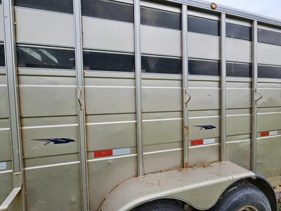 TITAN CATTLE/ LIVESTOCK TRAILER Trailer | Iron Listing (9)