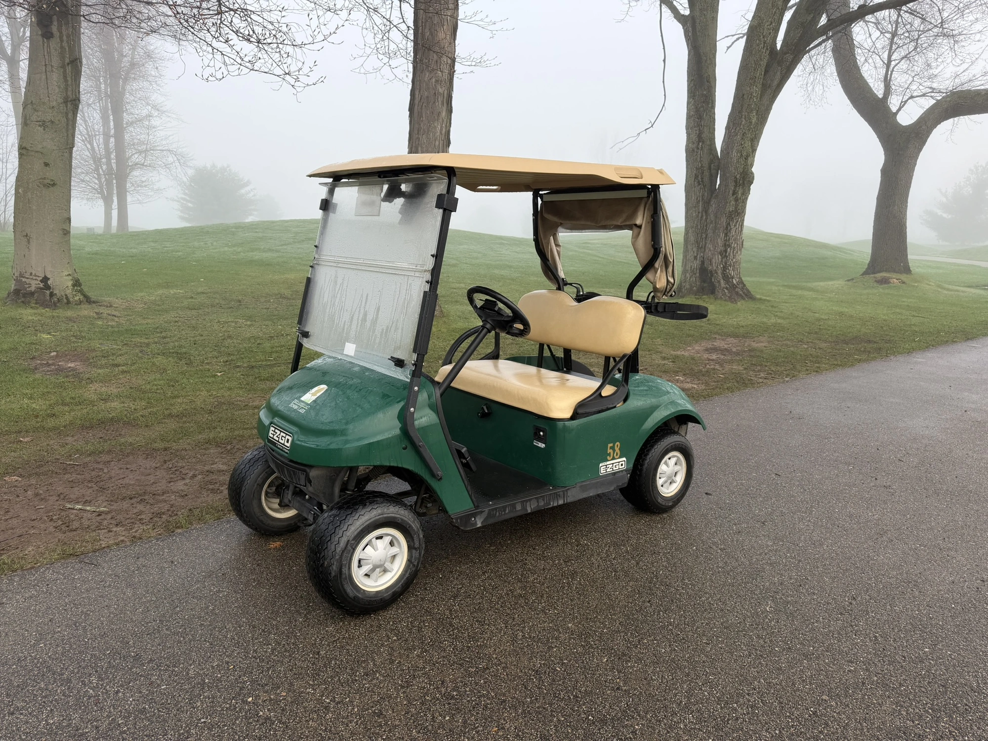 (1) 2017 E-Z-Go golf cart with a Kawasaki gas engine, model 625111G01, includes canopy, ball cover, ...