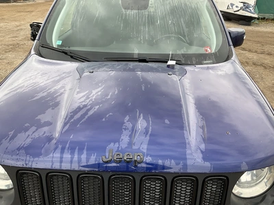 Used 2018 JEEP RENEGADE Classic Cars & Trucks Michigan US | Miedema Asset Management Group #1769413