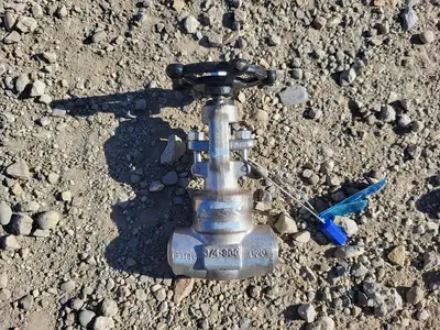 3/4" Class 800 Globe Valve API 602