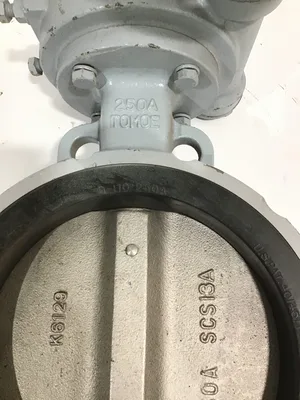Tomoe K6129/250A/SCS13A 10″ Semi Lugged Butterfly Valve