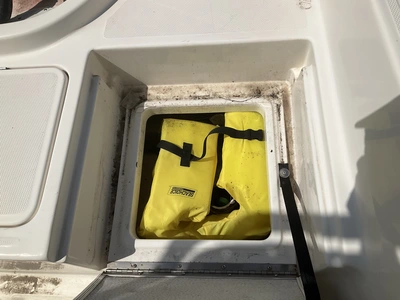 Used 2017 BAYLINER ELEMENT Boats (Misc) Michigan US | Miedema Asset Management Group #1322404