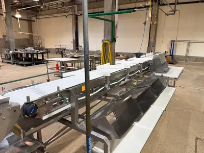 Used MAREL GRADING LINE Food Production Lines Illinois US | M&M Equipment Corp. #1336407