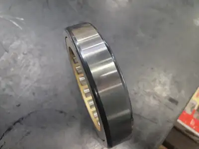 NEW SKF NU219ECP