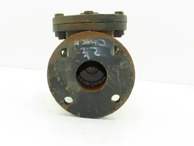 Stockham 2-1/2" Steel Flanged Swing Check Valve 125S 200 WOG