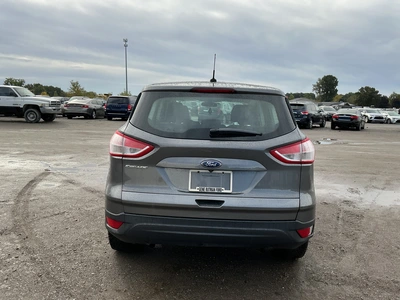 Used 2014 FORD ESCAPE Utility Vehicles Michigan US | Miedema Asset Management Group #1734580