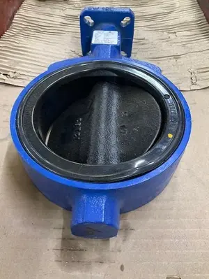 Deltech DN125/5” Valve